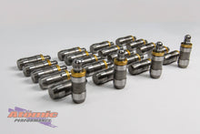 Load image into Gallery viewer, Standard Barra Style Hydraulic Lifters
