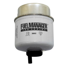 Load image into Gallery viewer, Fuel Manager FM 100 Series Replacement Element 36693 – 2 MICRON