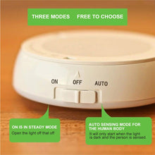Load image into Gallery viewer, LED Motion Sensor Night Light Rechargeable Battery Reading Torch Camp