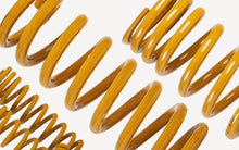 Load image into Gallery viewer, Tough Dog Coil Springs (Pair) For Volkswagen Amarok 2010-Current, Suits 2.0L Engine, Front: Bull Bar