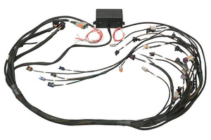 6 Channel Flying Lead Ignition Harness