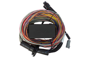 Elite 550 Premium Universal Wire-in Harness
Length: 2.5m (8Õ)