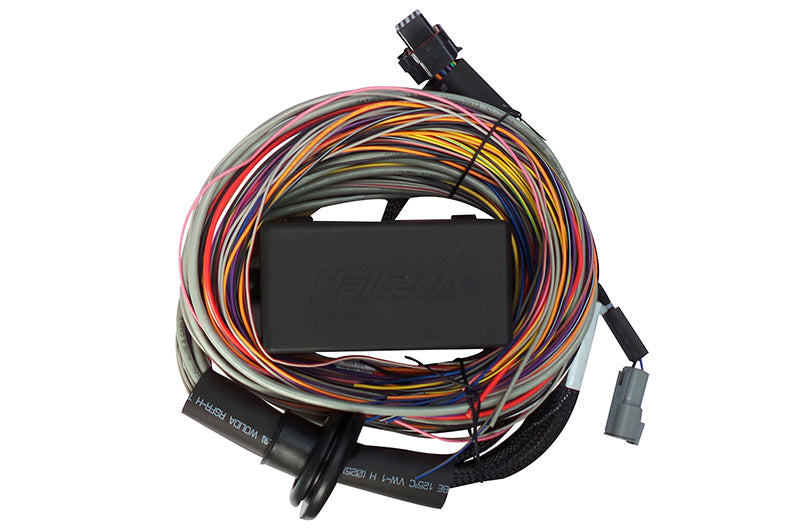 Elite 550 Premium Universal Wire-in Harness
Length: 2.5m (8Õ)
