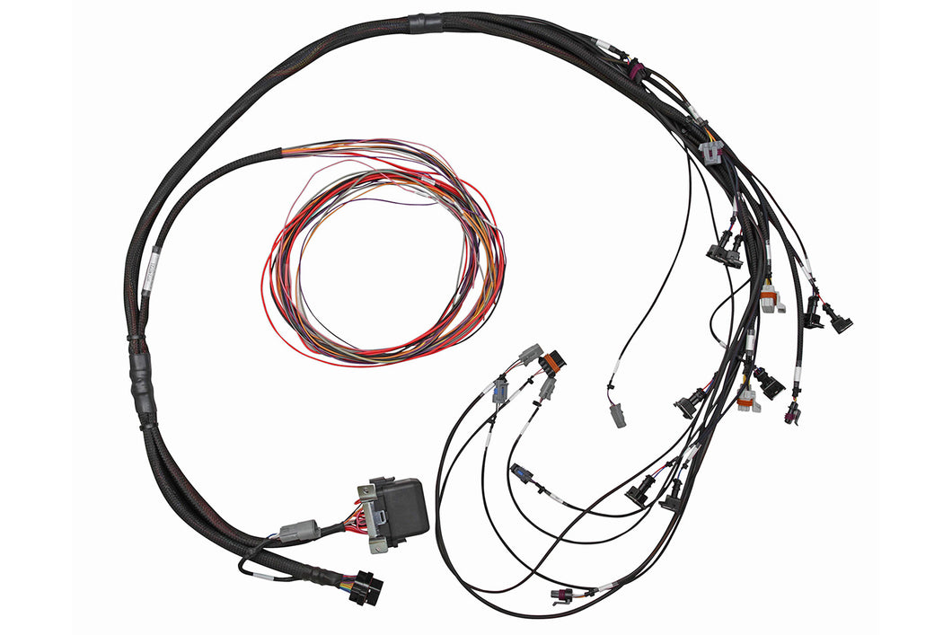 Elite 950 GM GEN III LS1 & LS6 non DBW Terminated Harness Only