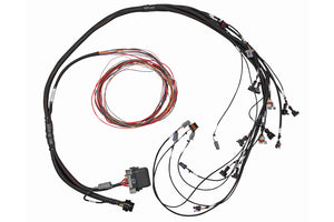 Elite 950 V8 Big Block/Small Block GM, Ford & Chrysler Terminated Harness Only