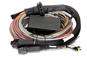 Elite 1000 - 5.0m (16 ft) Premium Universal Wire-in Harness Only