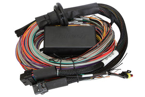 Elite 1500 - 2.5m (8 ft) Premium Universal Wire-in Harness Only