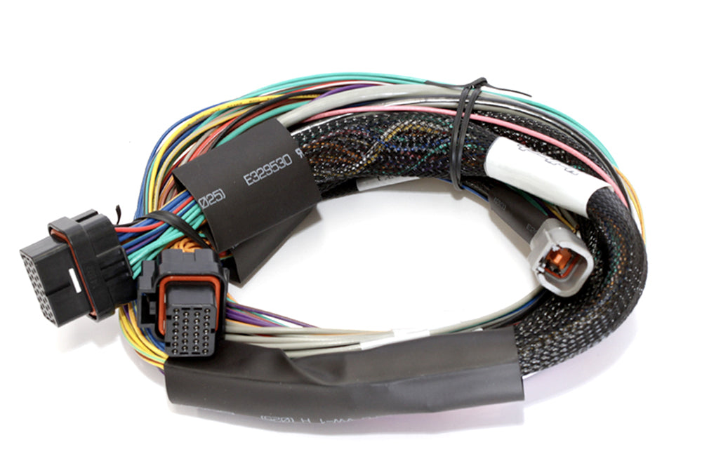 Elite 2000 - 2.5m (8 ft) Basic Universal Wire-in Harness Only