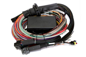 Elite 2500 & 2500 T- 2.5m (8 ft) Premium Universal Wire-in Harness Only