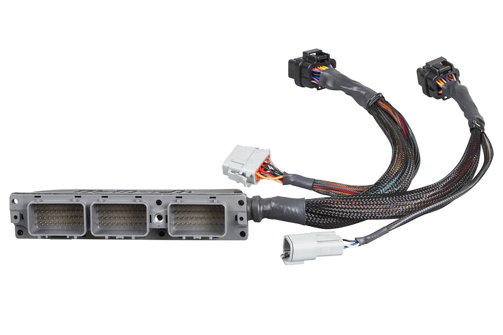 Elite 2000/2500 Plug 'n' Play Adaptor Harness Only - Toyota Supra JZA80 2JZ 
(non VVTi  with manual transmission only)