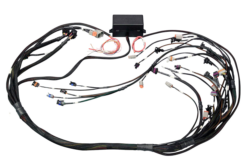 Elite 2500 GM GEN IV LSx (LS2/LS3 etc) DBW Ready Terminated Harness Only
 1