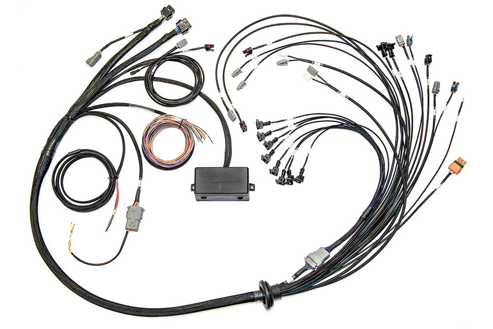 Elite 2500 Ford Coyote 5.0 Terminated Harness Only 1