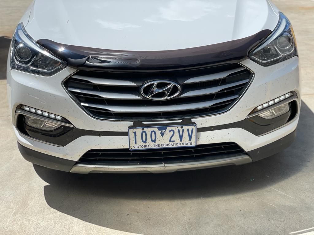 Hyundai Santa Fe 2012-2016 DM Bonnet Protector Tinted Guard