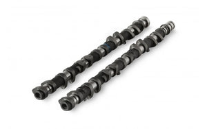 V202-D Camshaft Set