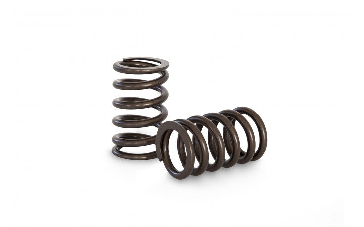 KVS04 Valve Spring Set