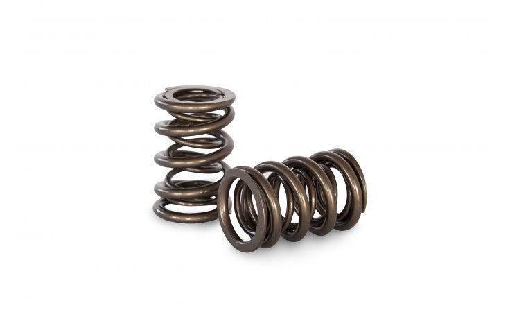 KVS08 Dual Valve Spring Set