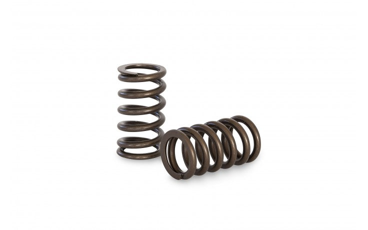 KVS11 Valve Spring Set