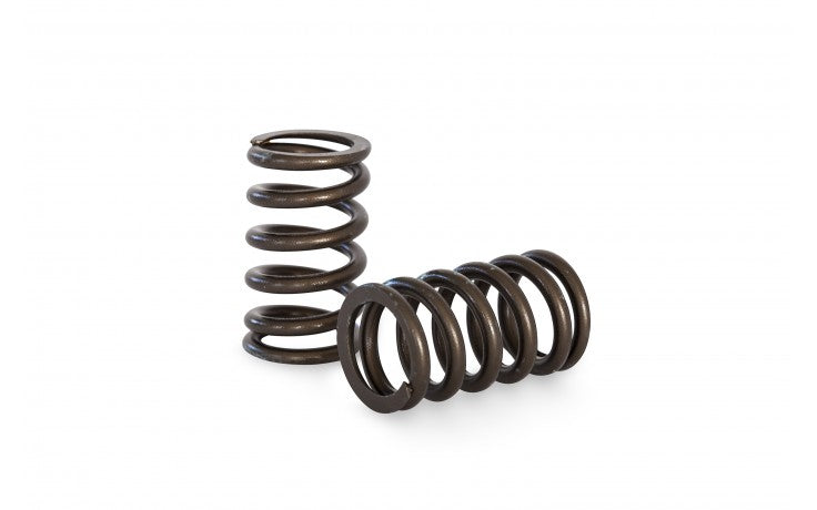 KVS15 Valve Spring Set
