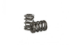 KVS18 Valve Spring Set