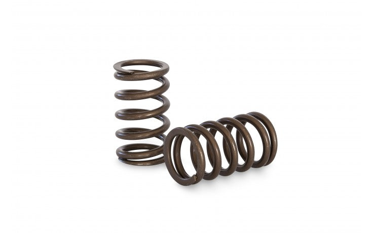 KVS20 Valve Spring Set