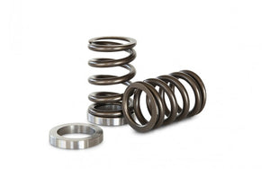 KVS25-R Valve Spring and Seat Kit