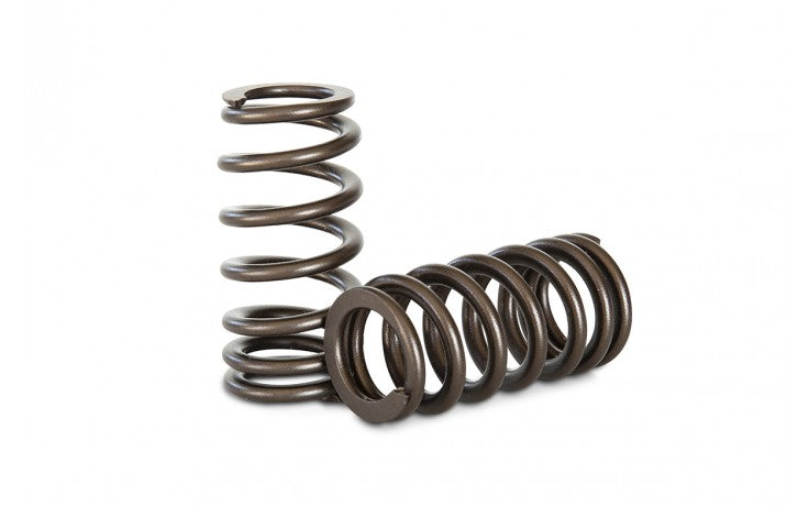 KVS40 Valve Spring Set