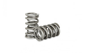 KVSLSDBL Dual Spring Kit