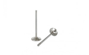 F1965P Ferrea Intake Valve Set