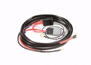 Anti-Surge Twin Pump Fuel System Wiring Harness (suits Ford Falcon BA/BF)